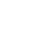Ball Point Pen