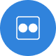 Flickr Icon