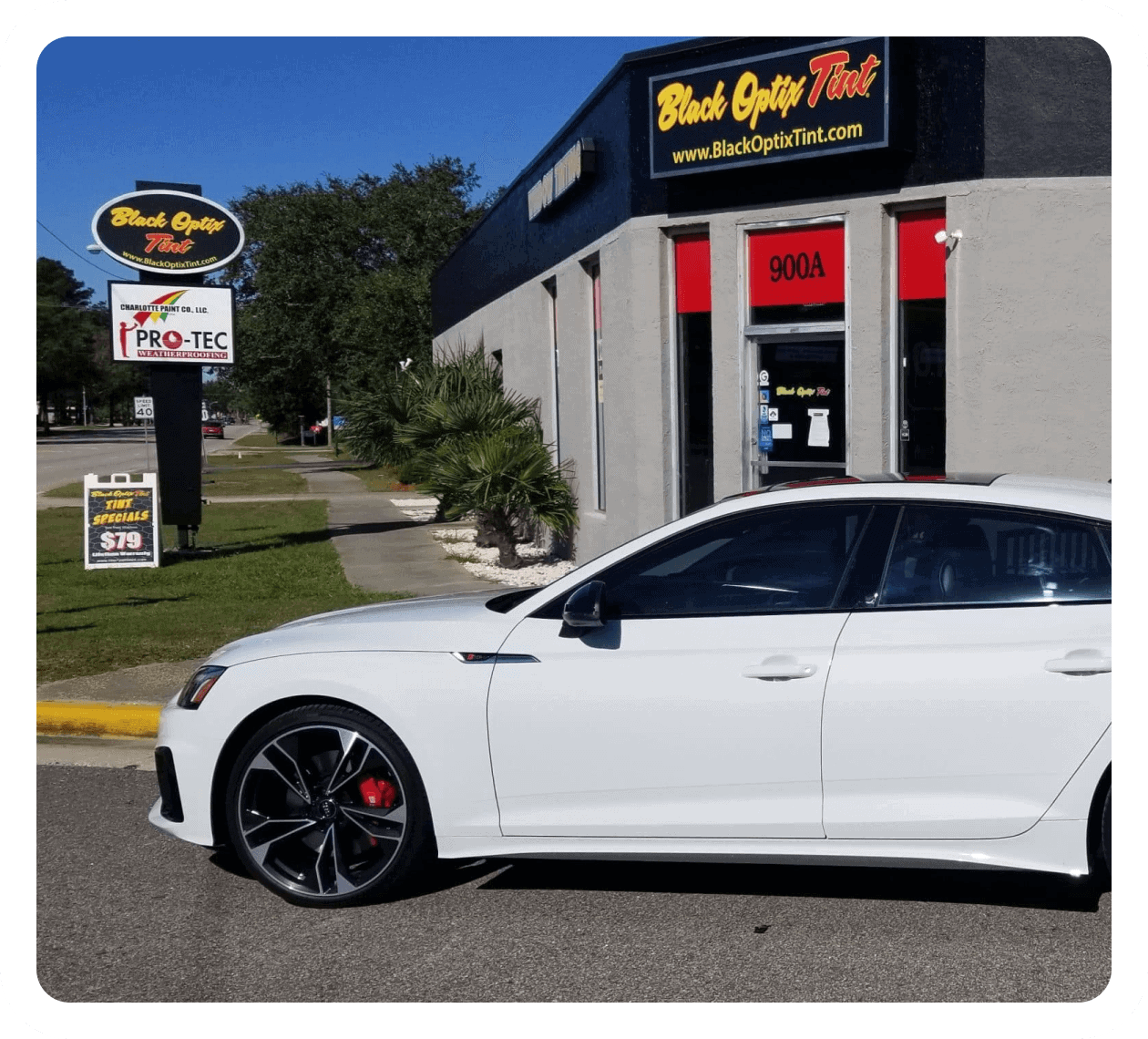 LEADERS IN CUSTOM TINTING SOLUTIONS